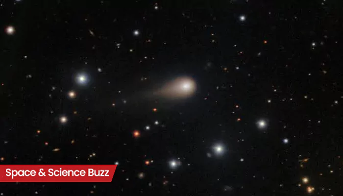 Science & Space Roundup: Top News of the Day (Nov 1)